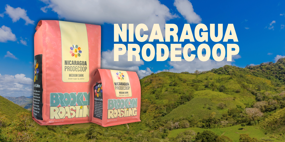 Single Origin Feature: Nicaragua PRODECOOP