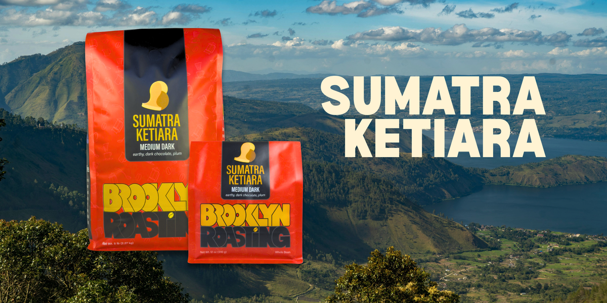 Single Origin Spotlight: Sumatra Ketiara